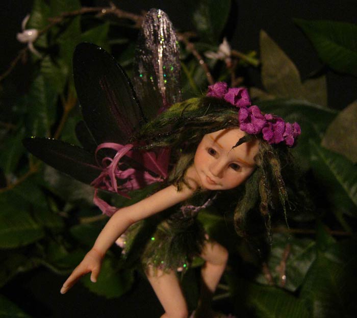 Fairy Fae Alga